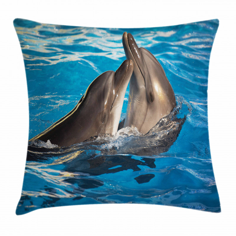 Aqua Show Photography Pillow Cover