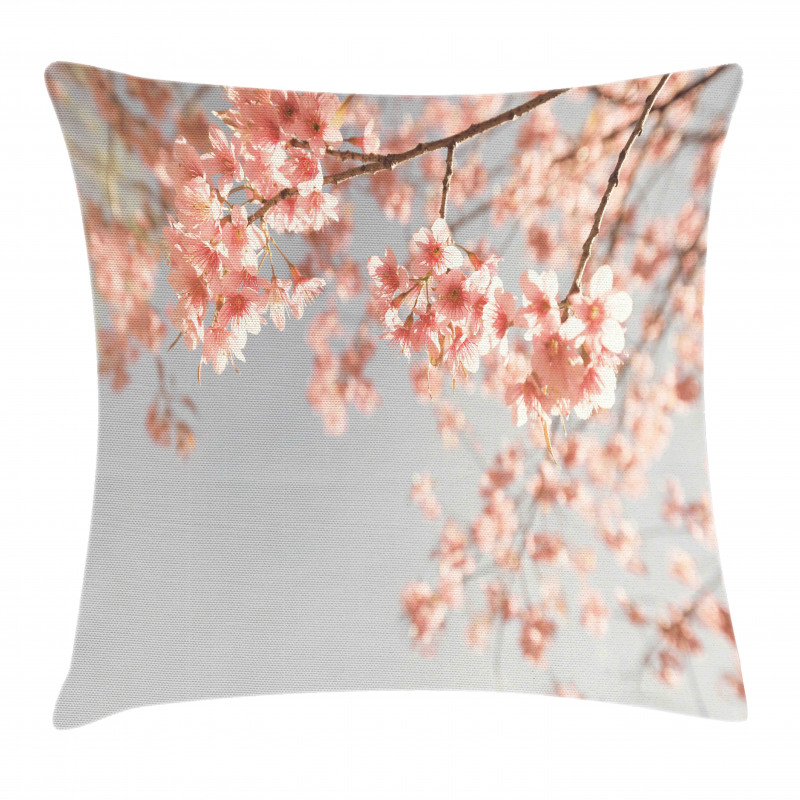 Scenery Sakura Trees Pillow Cover