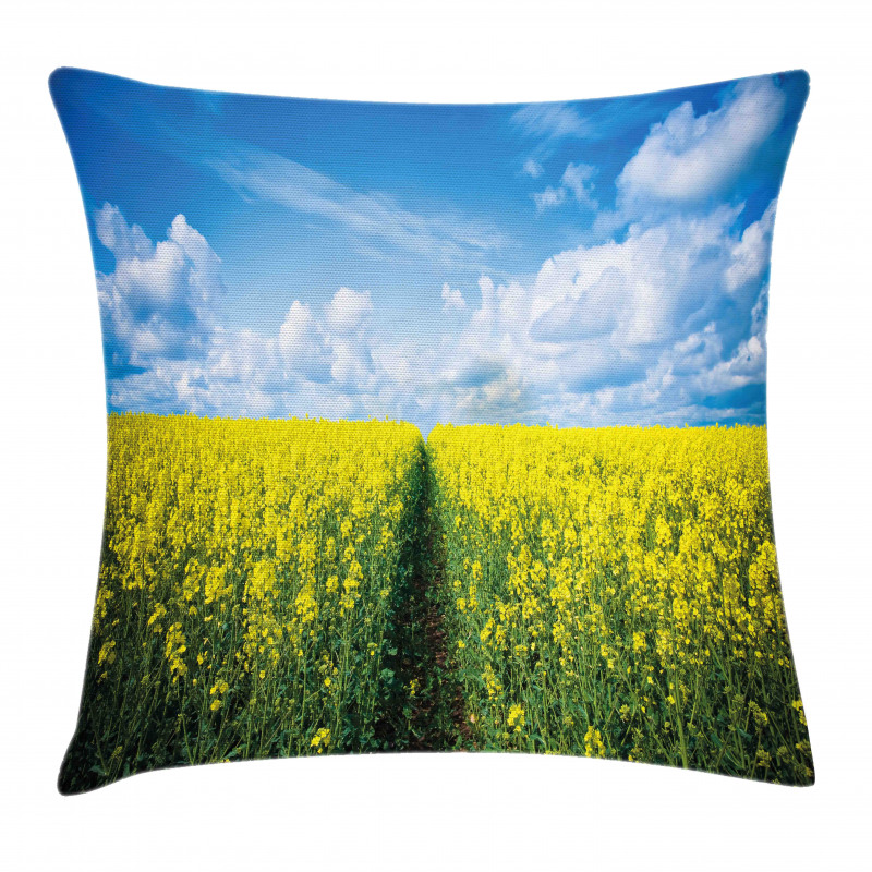 Floral Pathway Pillow Cover