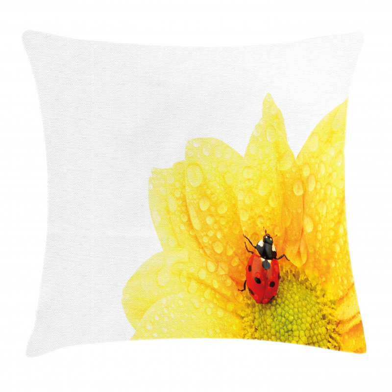 Ladybug Pillow Cover