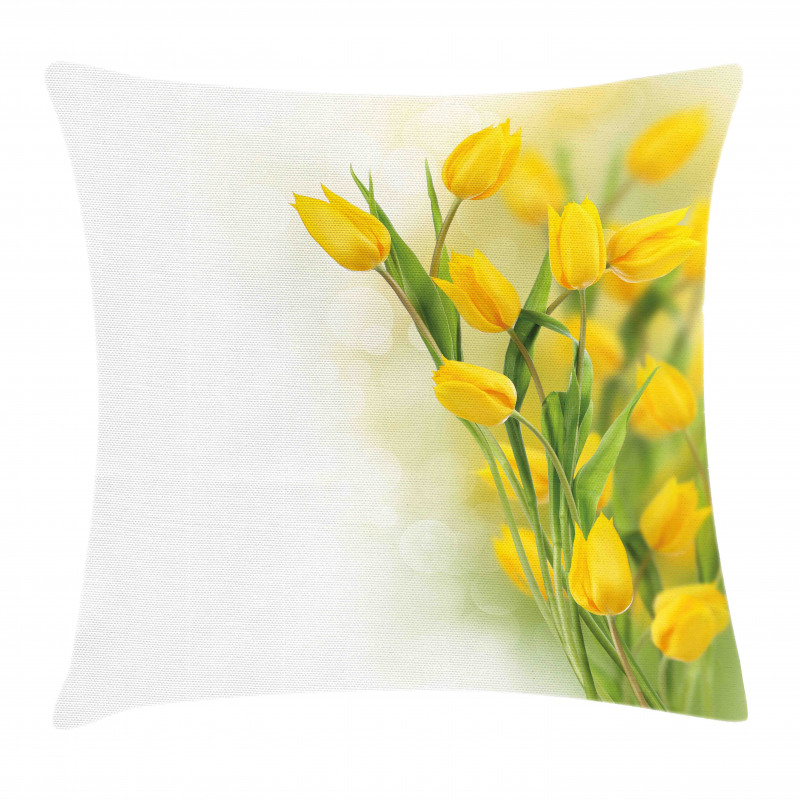 Romantic Tulips Pillow Cover