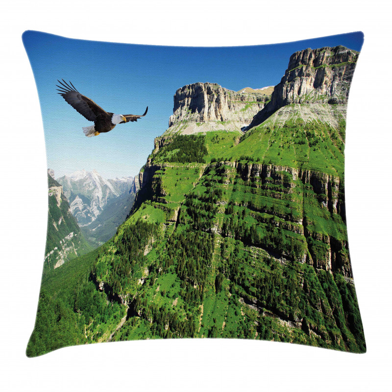 Bird Mountain Fly Pillow Cover