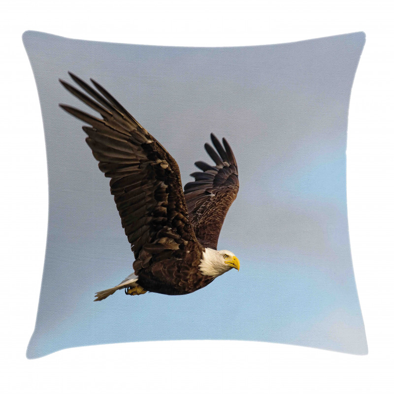 Hunter Bird in Open Sky Pillow Cover