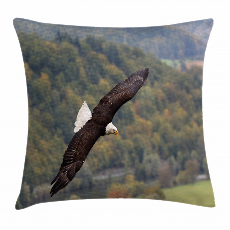 King of Skies Fly Forest Pillow Cover