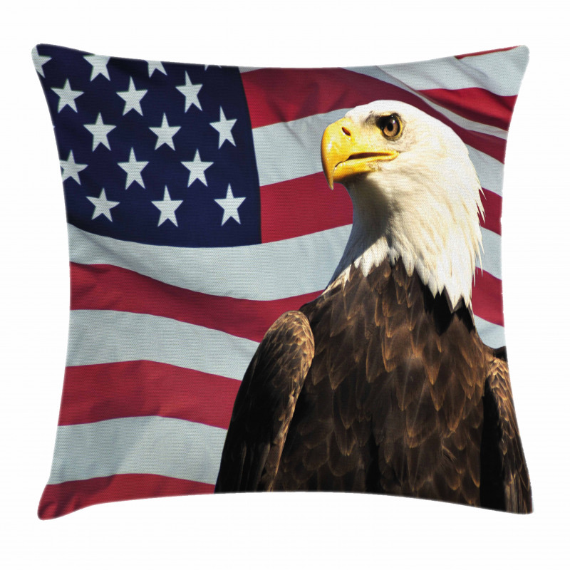 US Flag Country Pillow Cover