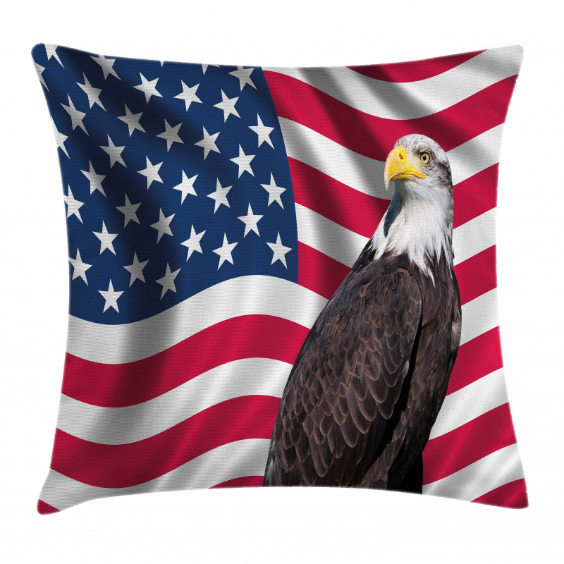 Patriotic America Pillow Cover