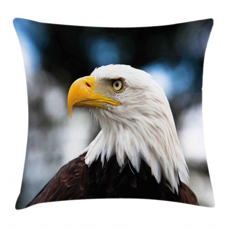 Freedom United States Pillow Cover