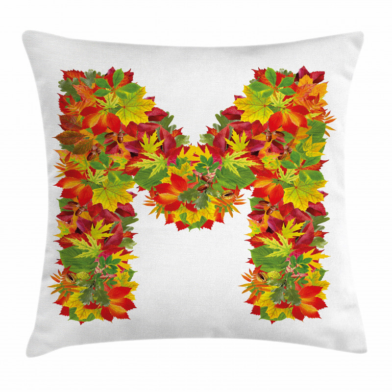 Fall Elements Capital Pillow Cover