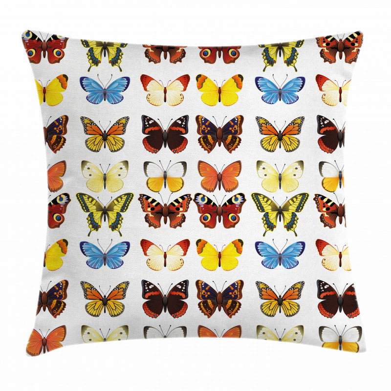 Butterflies Many Shapes Pillow Cover