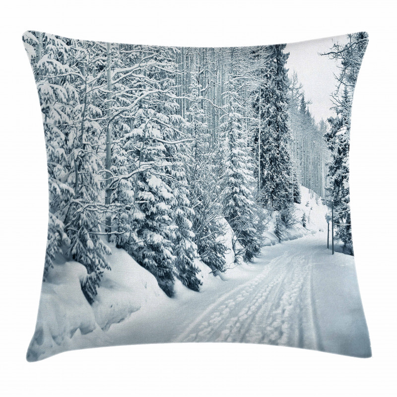 Ski Theme Snowy Road Pillow Cover