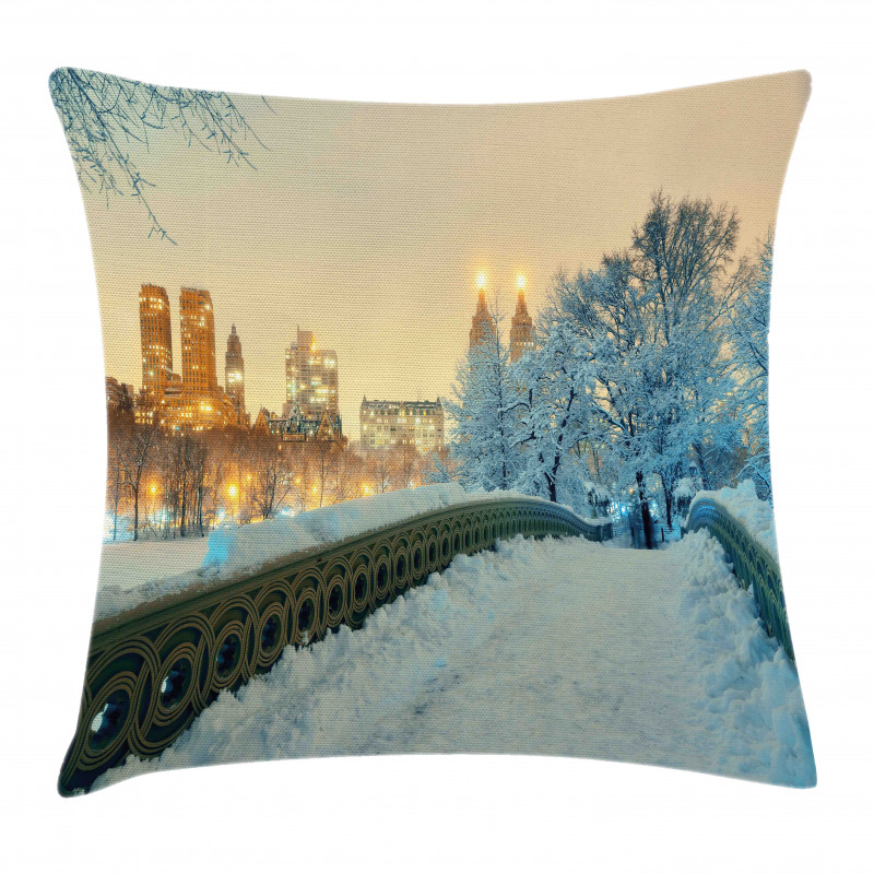 Central Park New York Pillow Cover