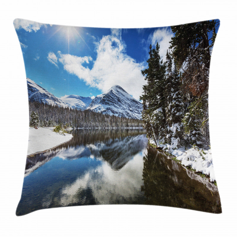 Tranquil National Park Pillow Cover