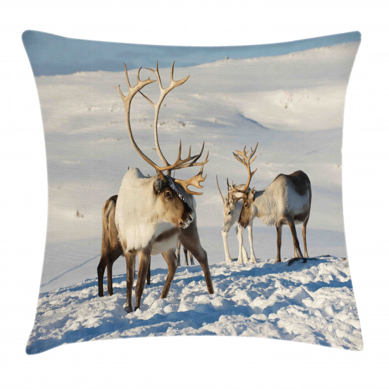 Reindeers Norway Caribou Pillow Cover