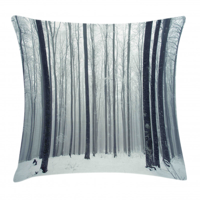 Foggy Mysterious Woods Pillow Cover