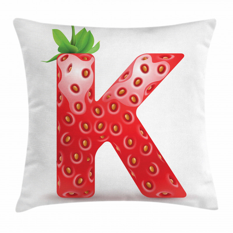 Seasonal Refreshment K Pillow Cover