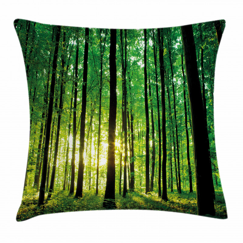Green Woodland Sunrise Pillow Cover