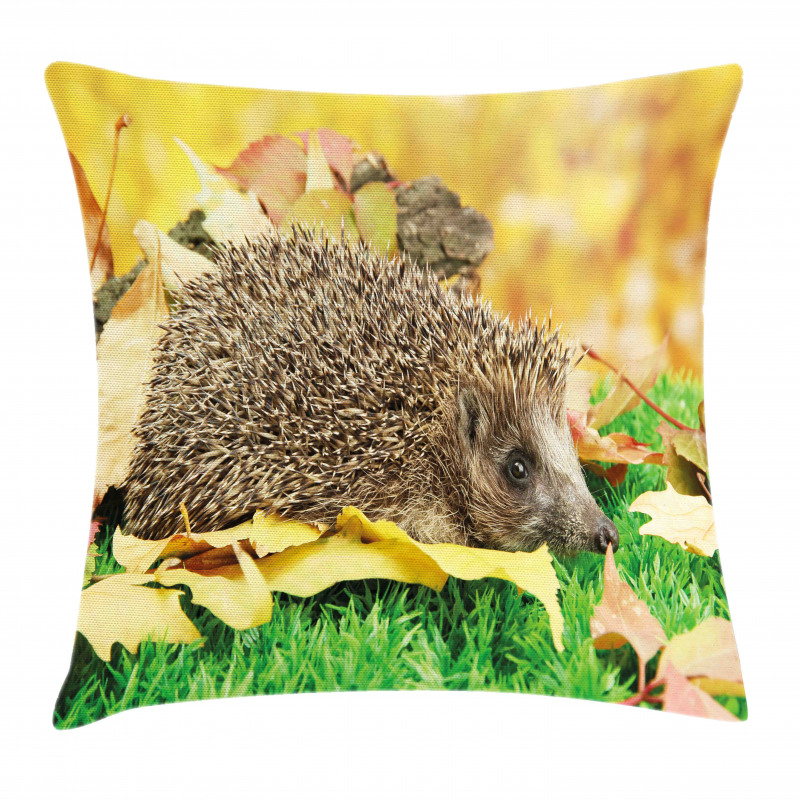 Little Hedgehog Pillow Cover