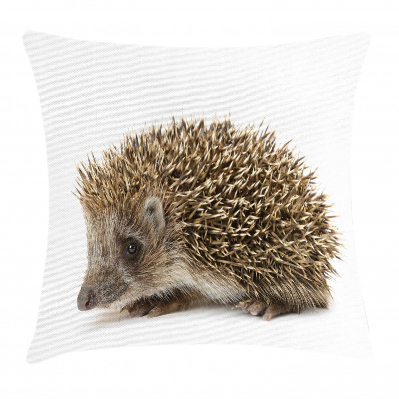 Small Mammal Pillow Cover