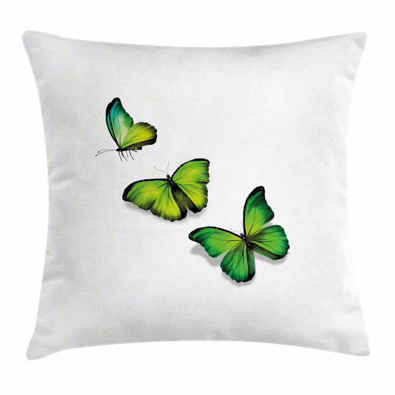 Spring Butterfly Pillow Cover