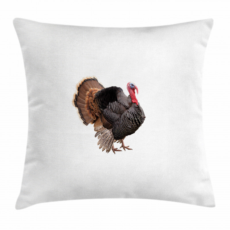 Farm Animal Portrait Pillow Cover