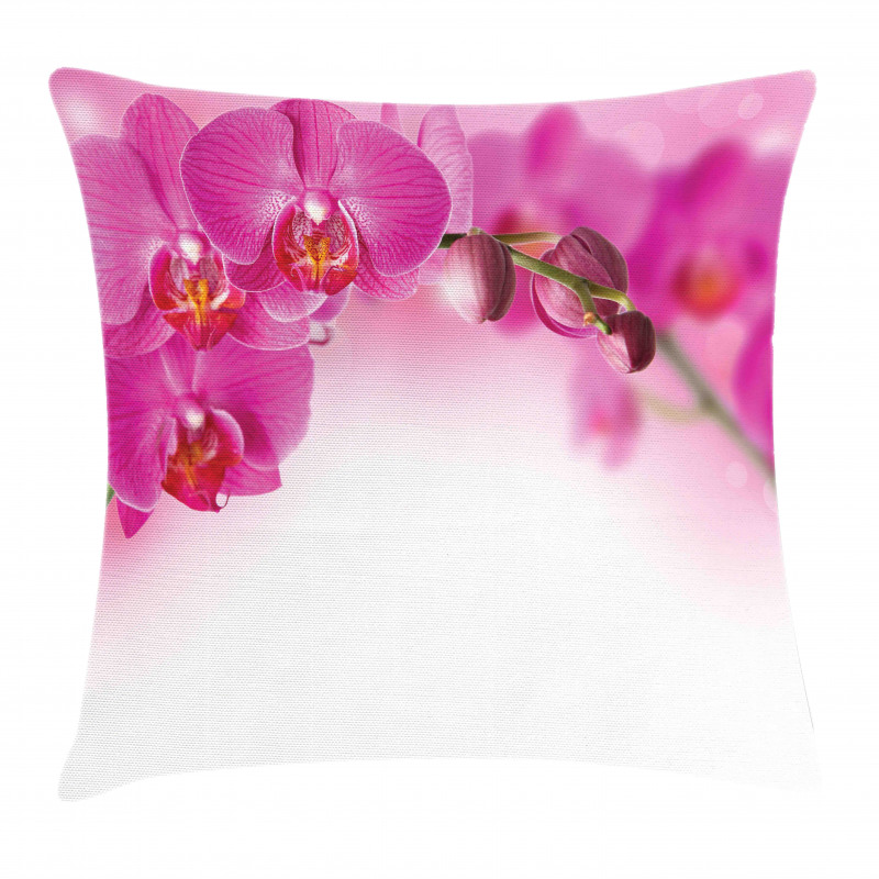Exotic Orchid Feng Shui Pillow Cover