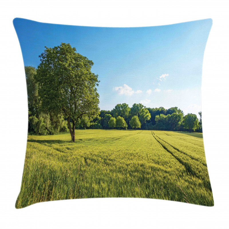 Uplifting Nature Photo Pillow Cover