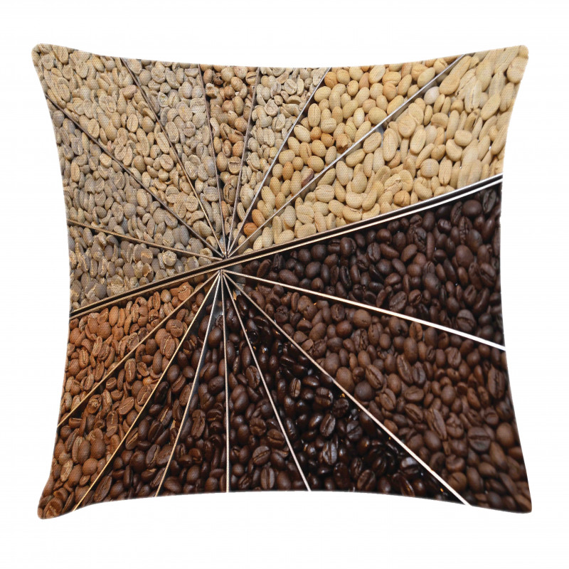 Many Varieties of Beans Pillow Cover