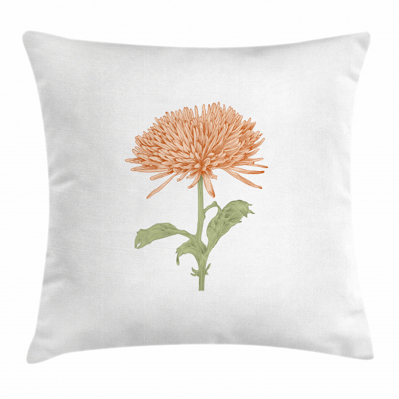 Retro Blooming Nature Pillow Cover