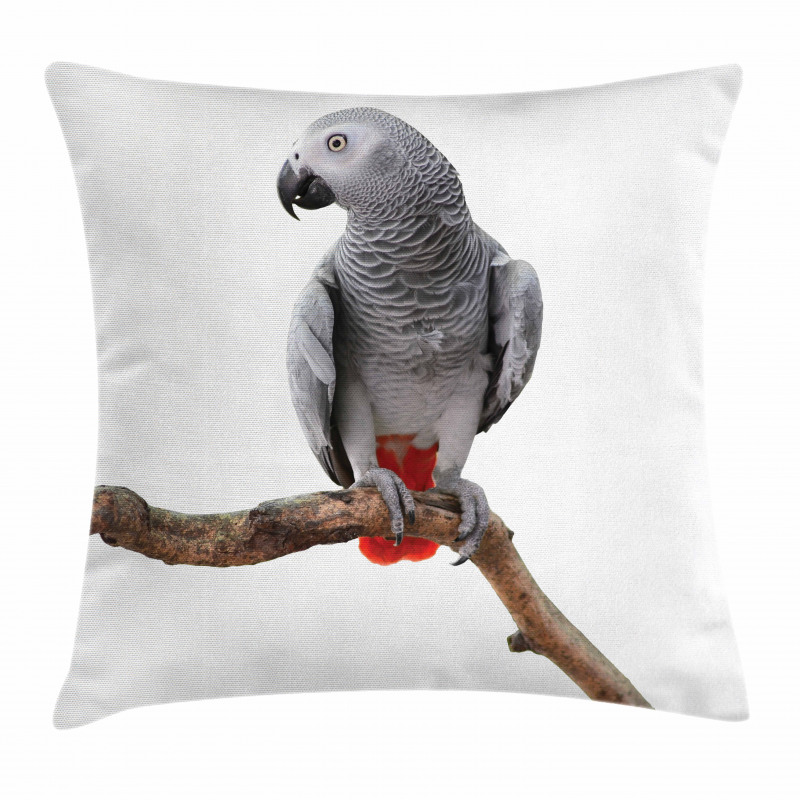 Parrot on a Branch Pillow Cover