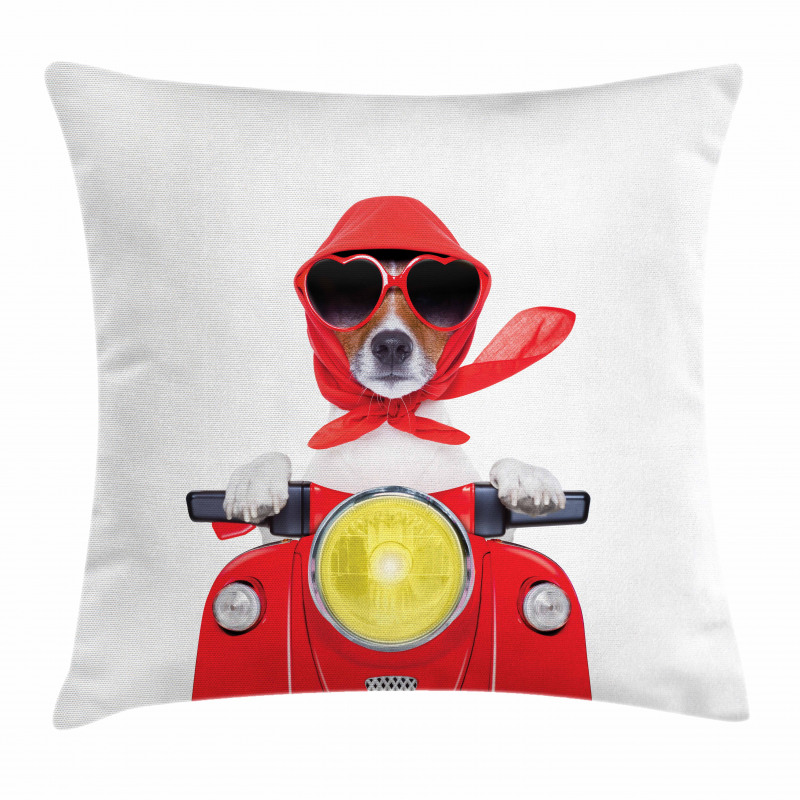 Canine with Scarf Pillow Cover