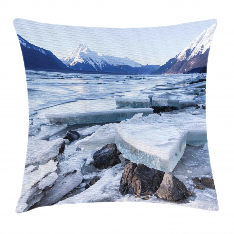 Nort American Winter Pillow Cover