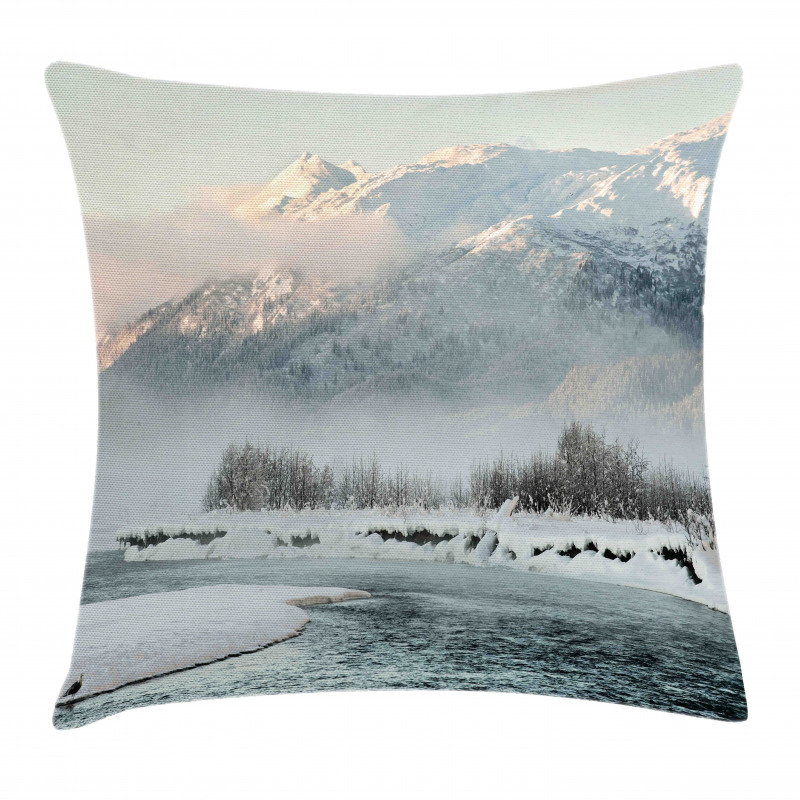 Winter Scene from North Pillow Cover