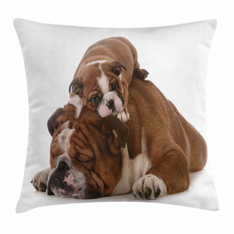 Father and Son Pillow Cover