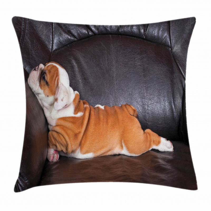 Resting Puppy Pillow Cover