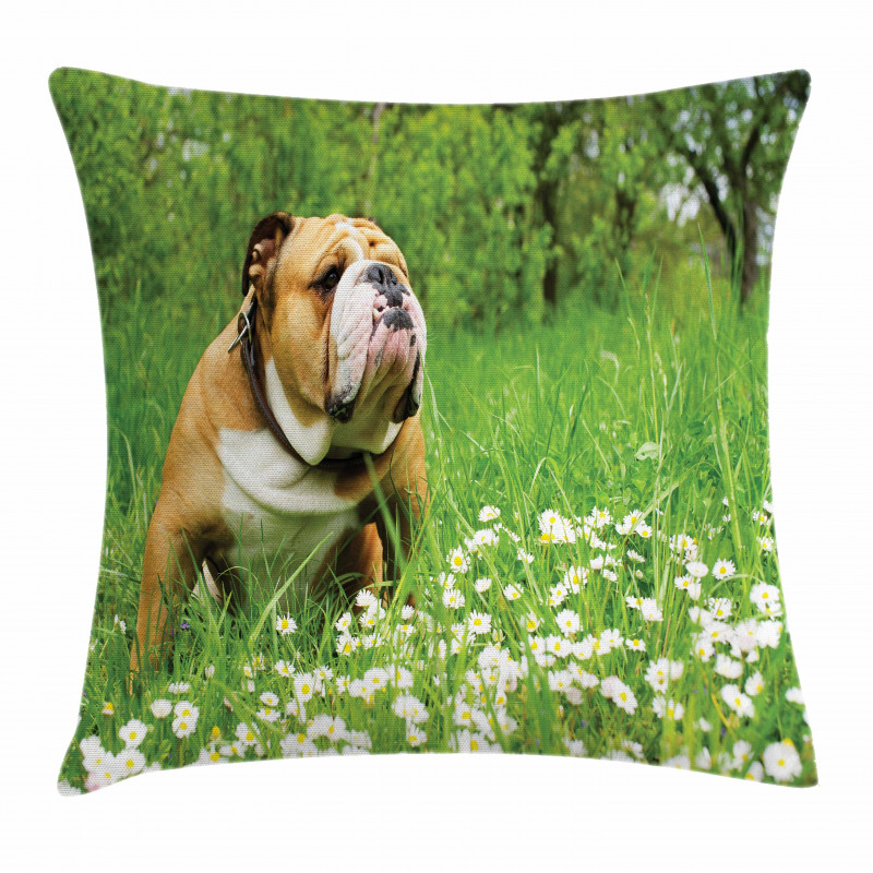 Blossom Daisies Pillow Cover