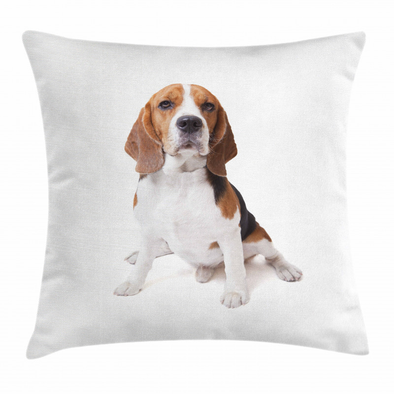 Puppy Dog Friend Posing Pillow Cover
