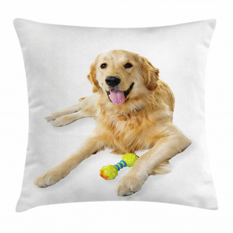 Pet Dog Toy Pillow Cover