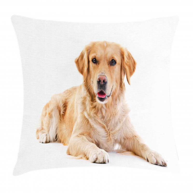 Young Puppy Pillow Cover