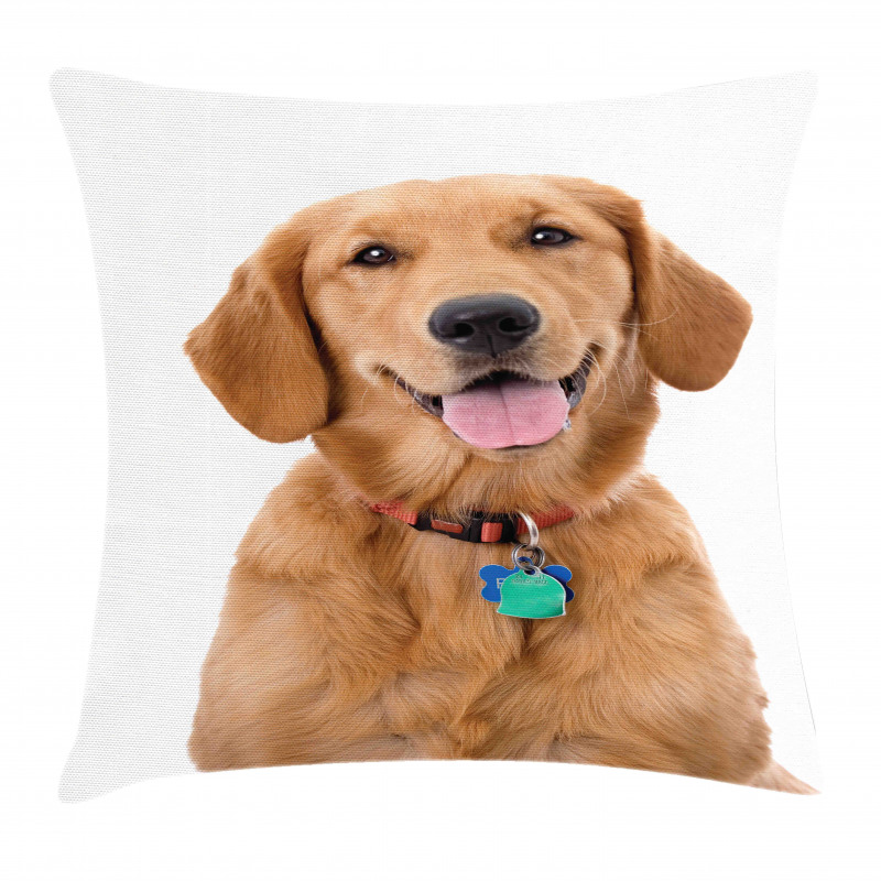 Collar Tags Pillow Cover