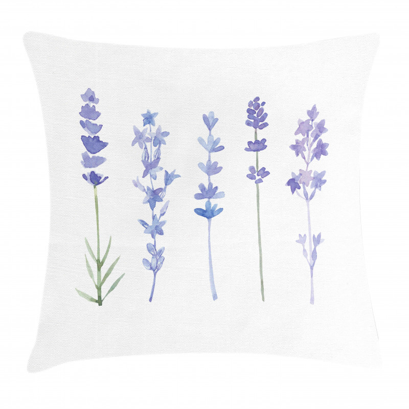 Watercolor Rural Herbs Pillow Cover