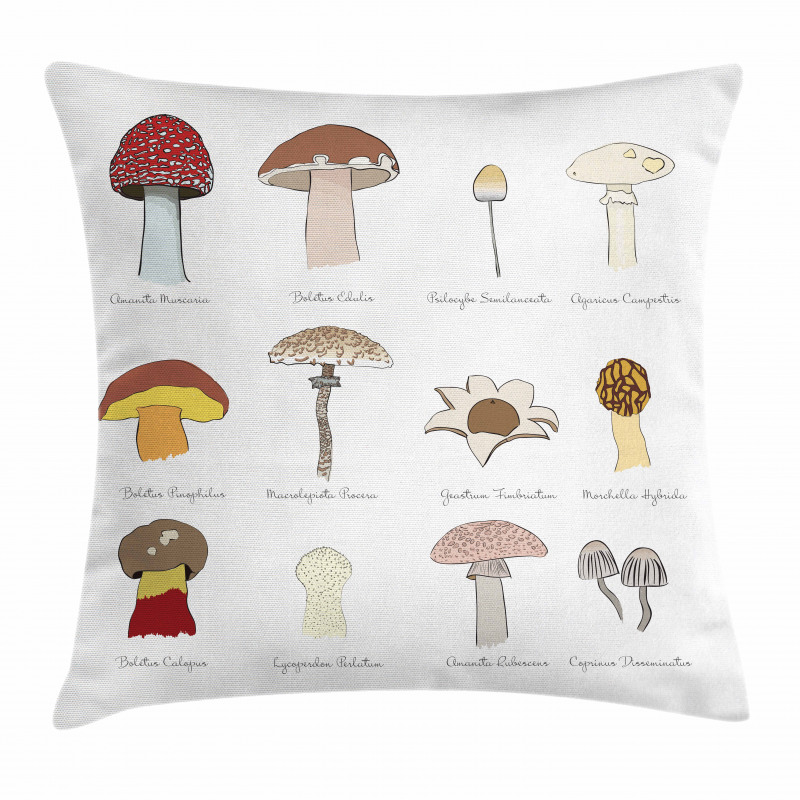 Blusher Boletus Sketch Pillow Cover