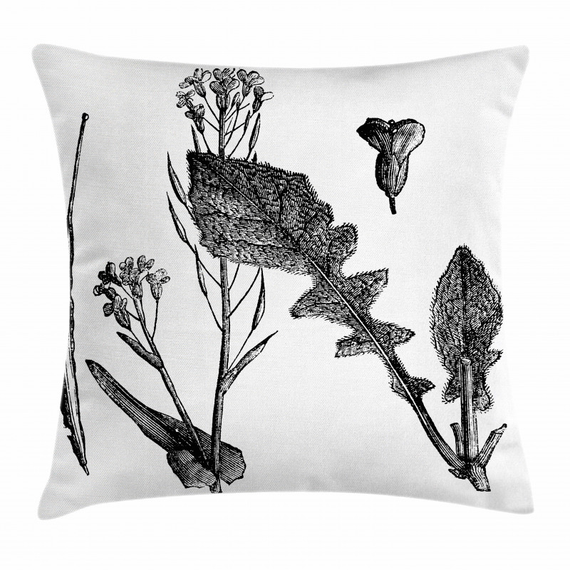 Root Vegetable Pillow Cover