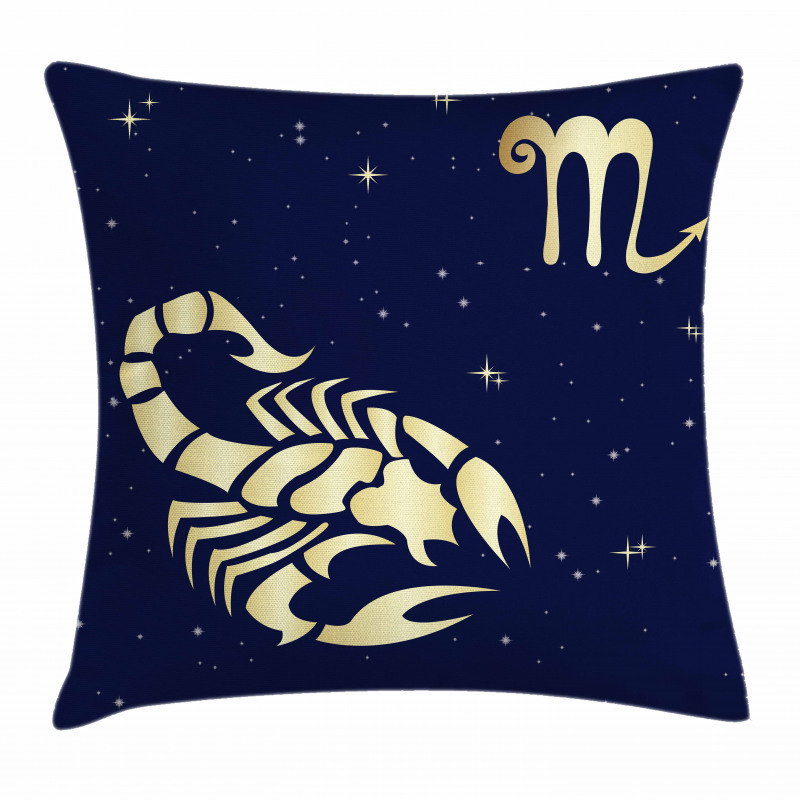 Night Sky Stars Pillow Cover