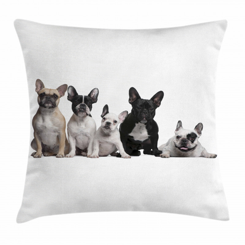 Young Doggies Photo Pillow Cover