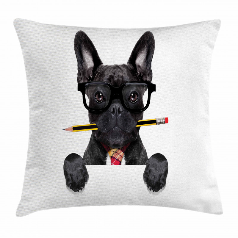 Businessman Dog Glasses Pillow Cover