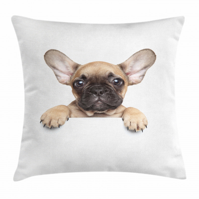 Pedigreed Young Puppy Pillow Cover
