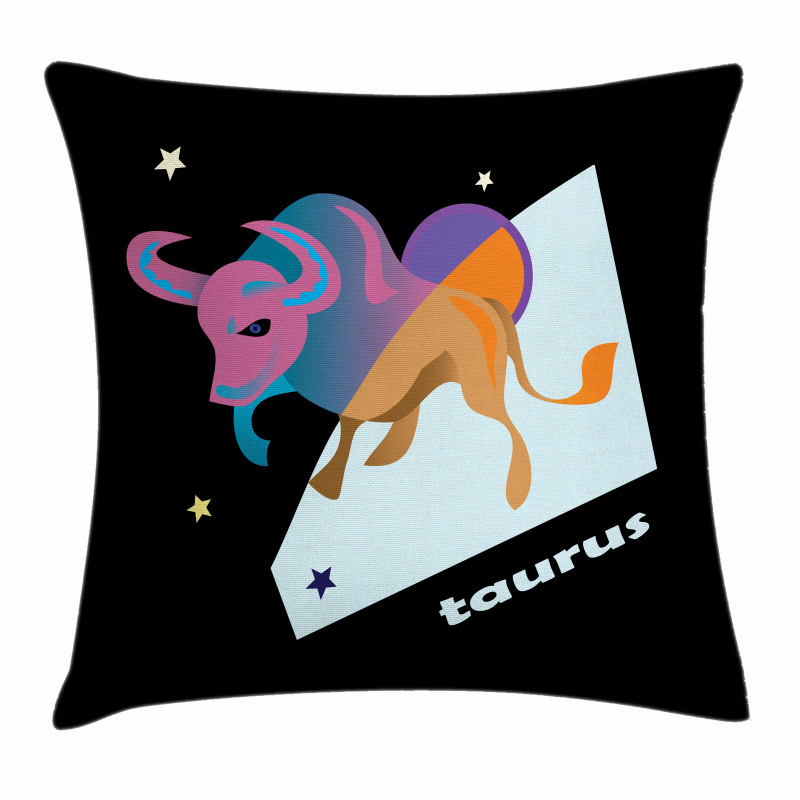 Day Night Theme Pillow Cover