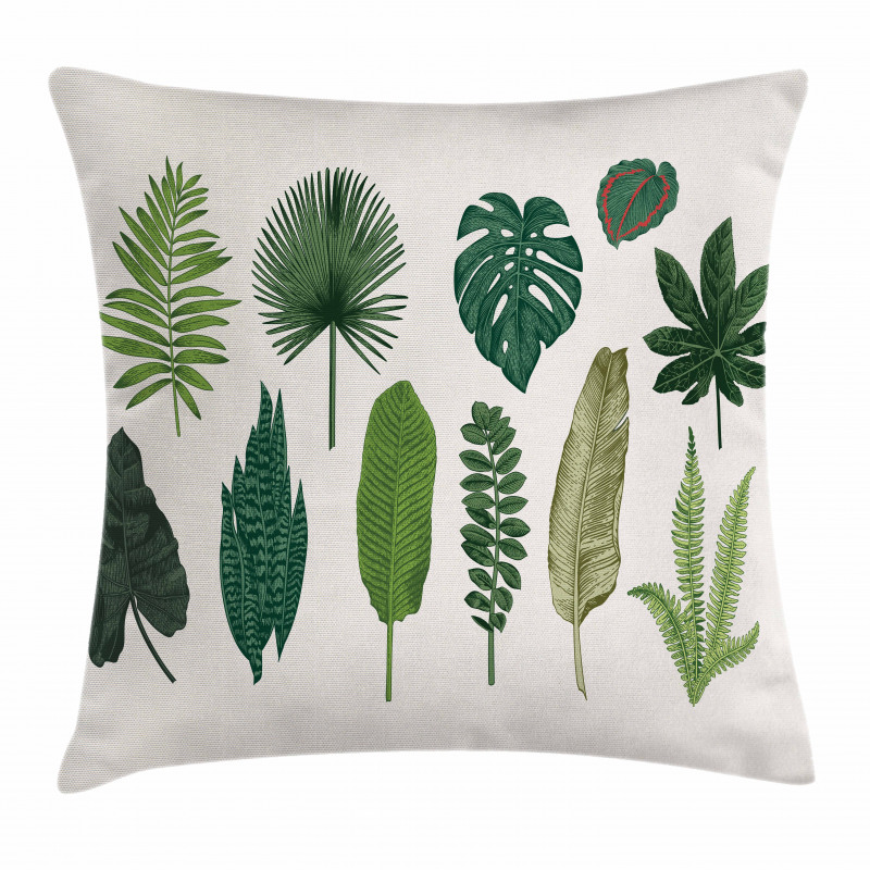 Vintage Botanic Image Pillow Cover