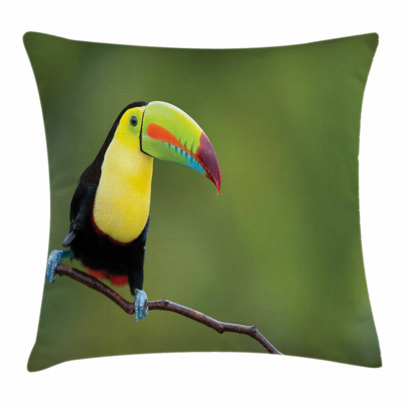 Keel Billed Toucan Pillow Cover