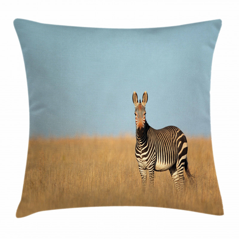 Zebra Mountain Grass Pillow Cover